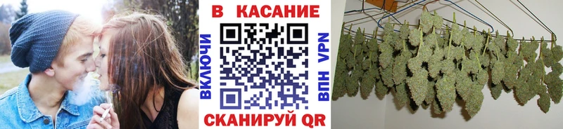 Галлюциногенные грибы Перевоз