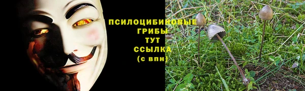 ALPHA PVP Алзамай