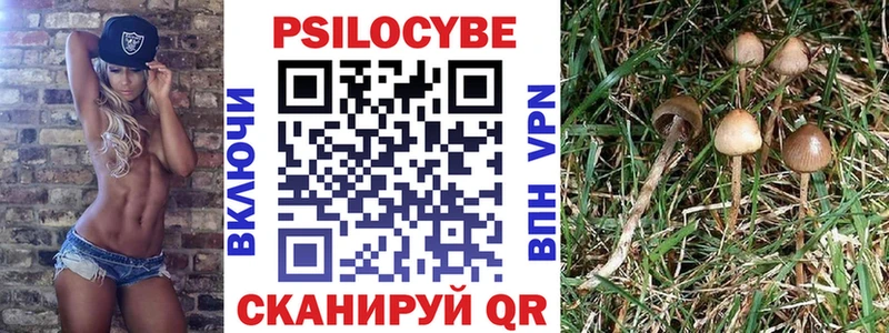 OMG маркетплейс  Перевоз  Псилоцибиновые грибы GOLDEN TEACHER 